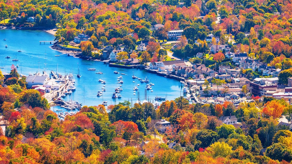 A coastal town with autumn foliage, a marina with boats, and houses along the waterfront.