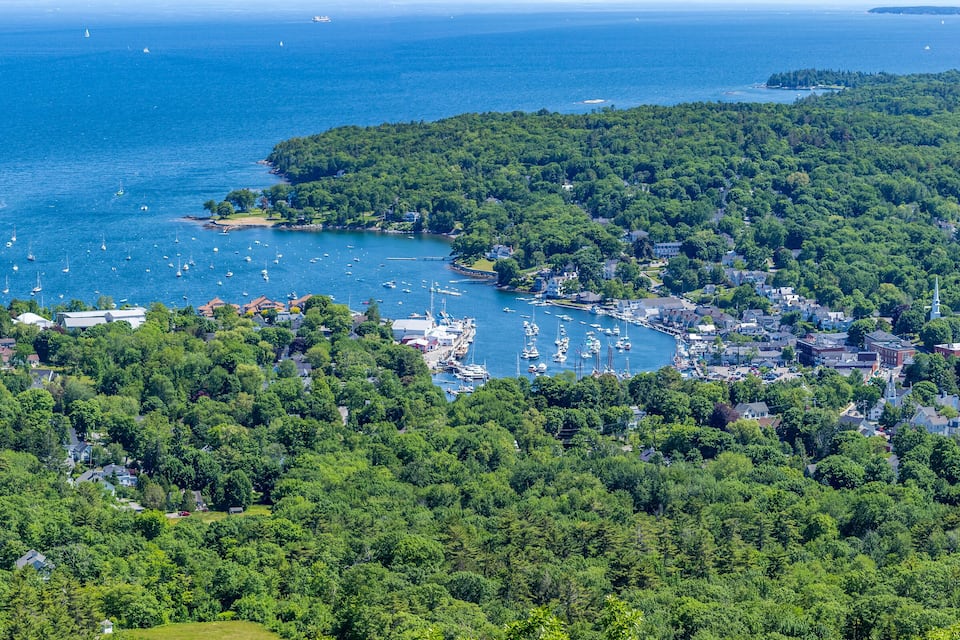 A coastal town with dense forests, a marina with boats, and a small island.