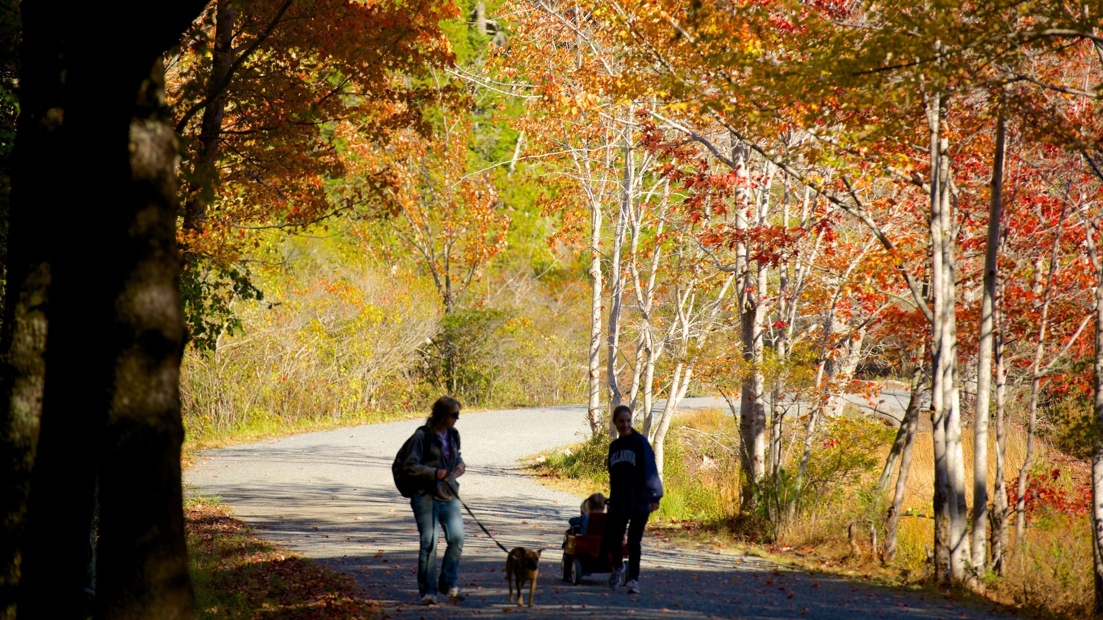 Bar Harbor bevat herfstkleuren en ook een klein groepje mensen