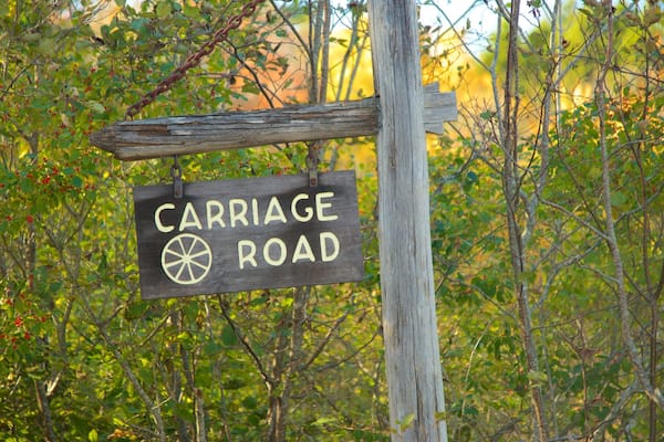 Bar Harbor showing signage