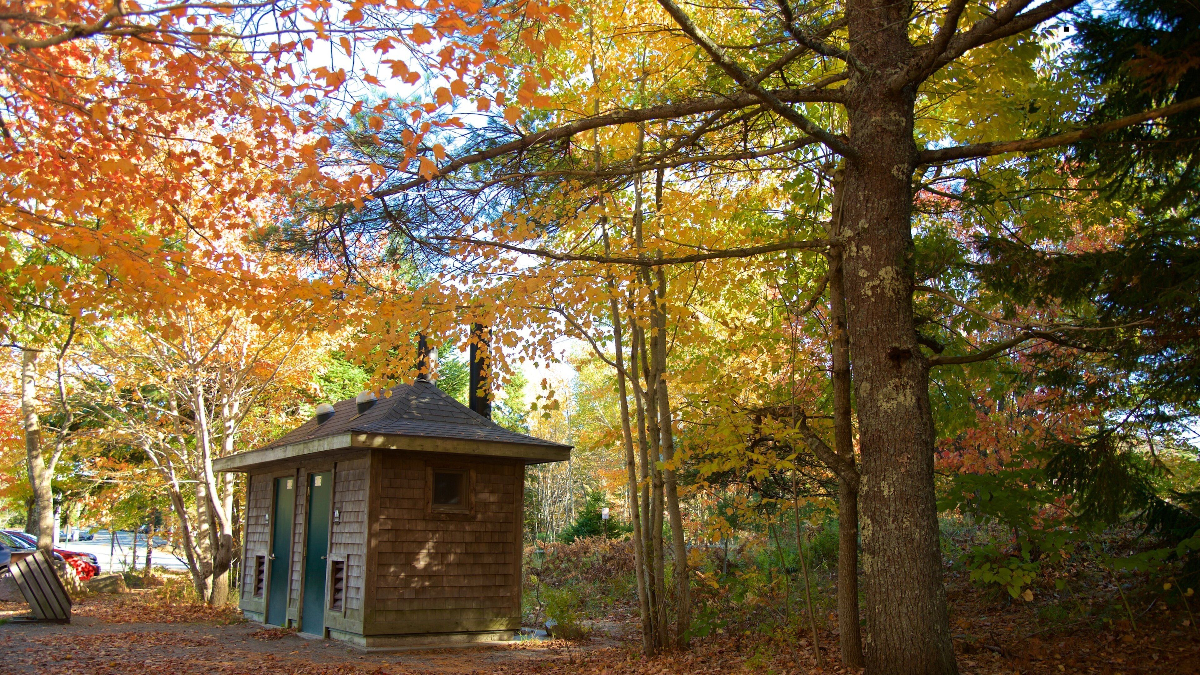 Bar Harbor showing autumn colours