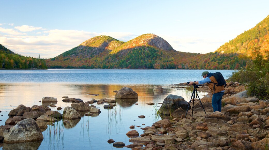 Bar Harbor montrant panoramas et mare aussi bien que homme