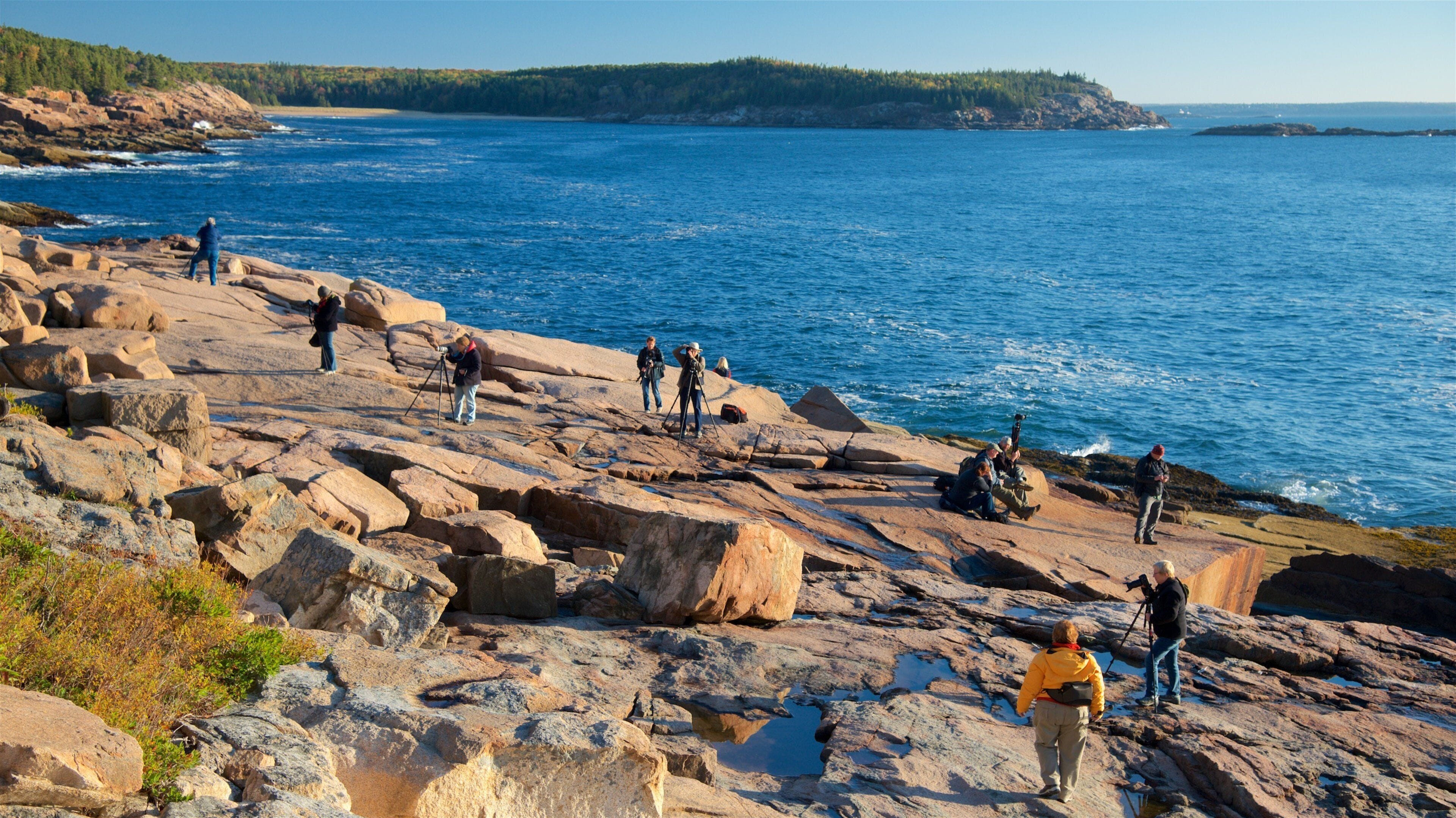 A rocky coastline with people taking photographs and videos.
