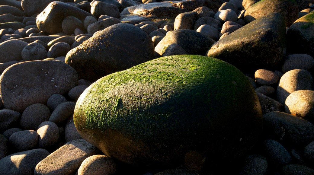 Otter Cliff mettant en vedette plage de galets