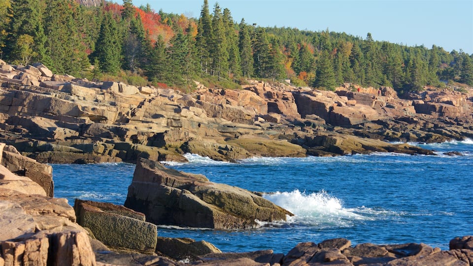 A rocky coastline with waves crashing against the rocks, a forested hillside in the background, and a clear blue sky.