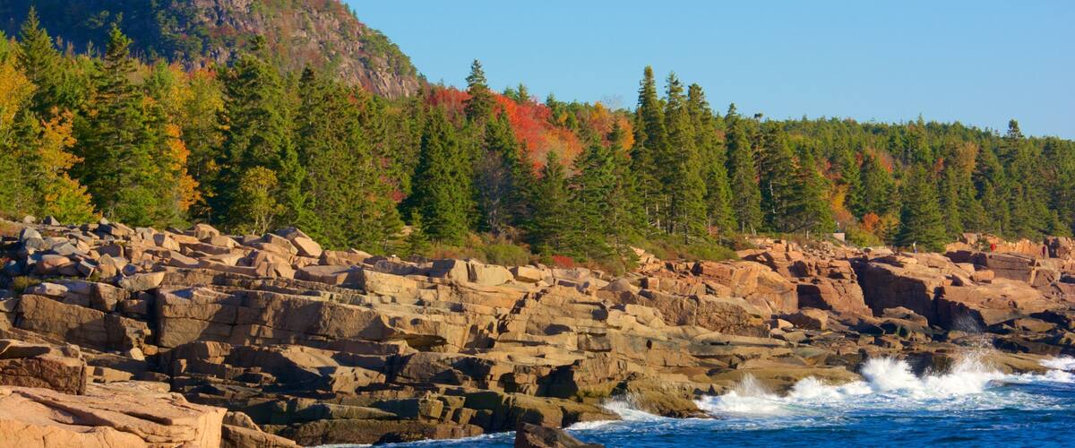 Otter Cliff som omfatter klippekystlinje og udsigt over kystområde