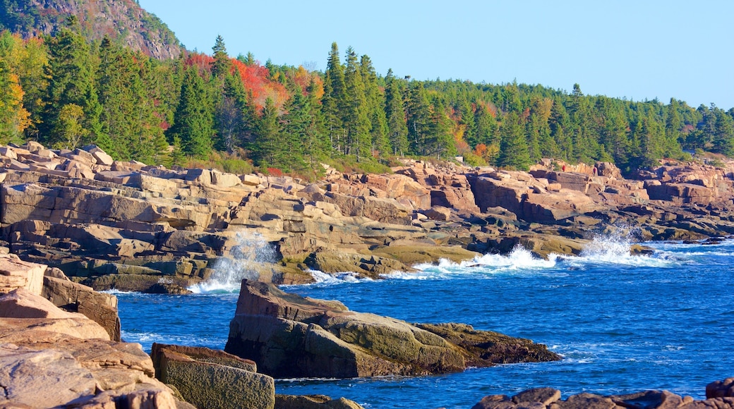 Otter Cliff mettant en vedette vues littorales et cĂŽte rocheuse