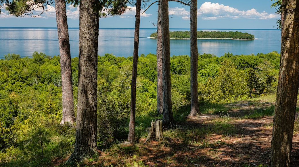 From beneath the shade provided by the pines, looking north over the calm waters of Green Bay, Nicolet Bay and Horseshoe Island from within Peninsula State Park, Fish Creek, Door County, Wisconsin
