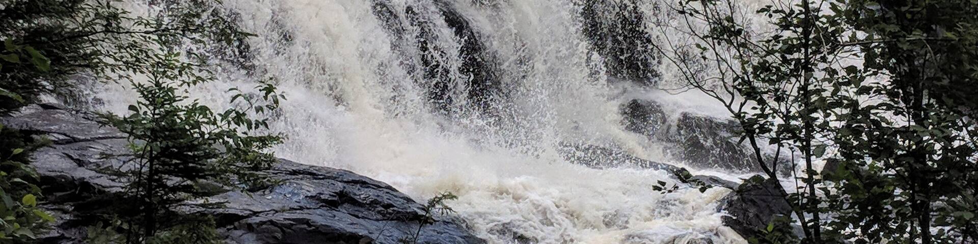 Beautiful falls with many opportunities for unique photos throughout the year.