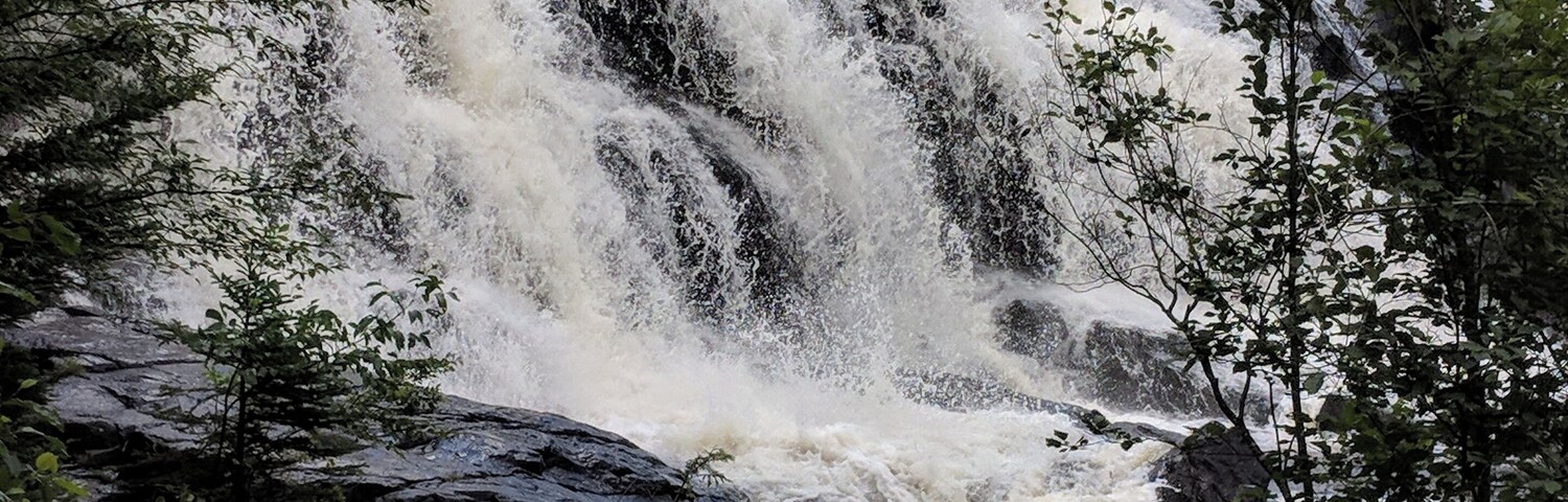 Beautiful falls with many opportunities for unique photos throughout the year.