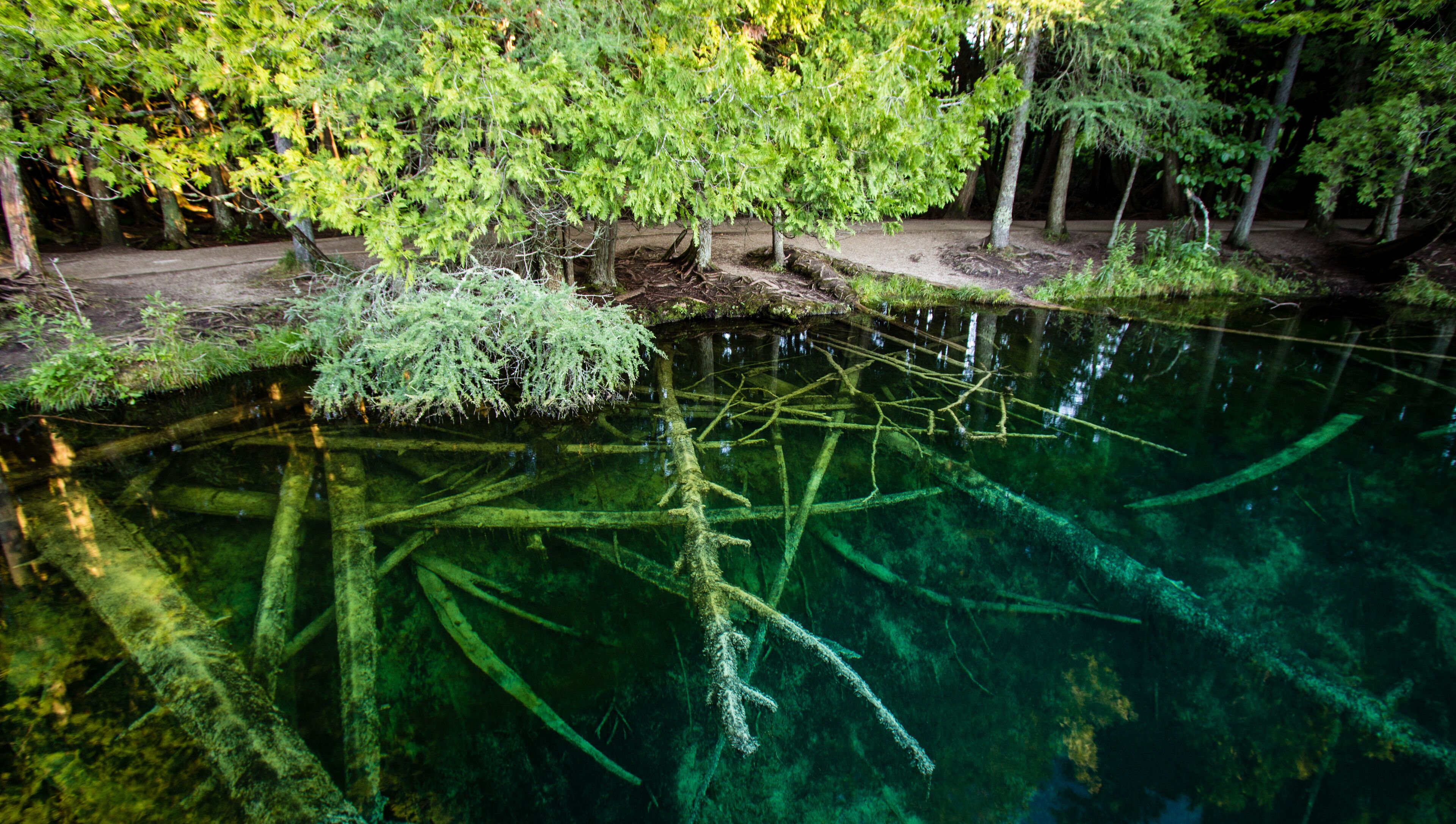 Michigan Largest Natural Springs Panorama. Michigan's largest spring is Kitch I ti ki pi in Palms Book State Park. The natural springs are located in the Upper Peninsula on the outskirts of Manistique