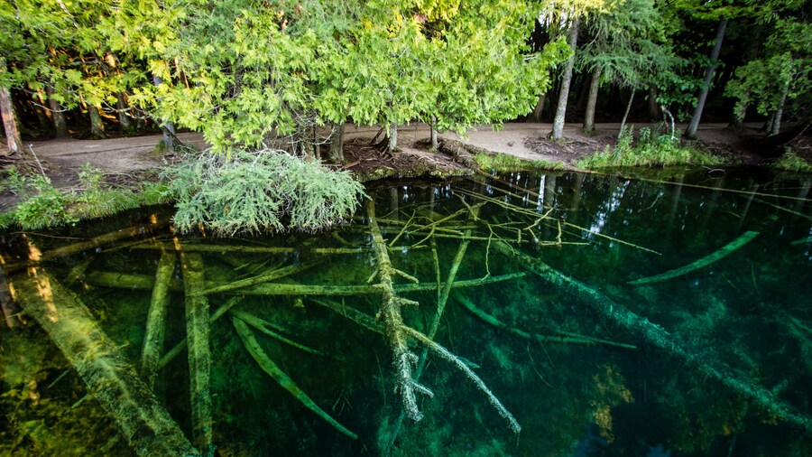 Palms Book State Park