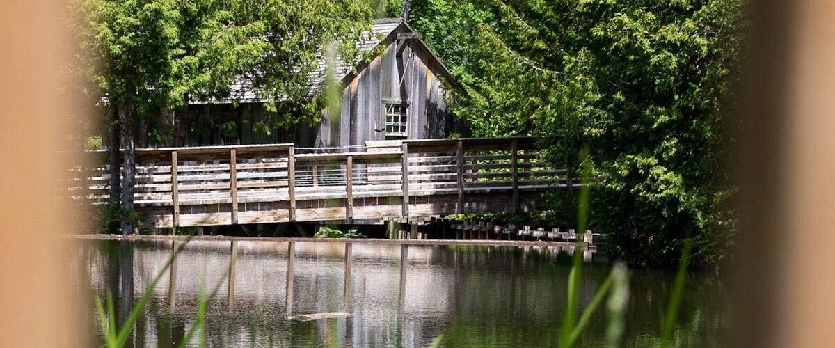 Informative and fun for all ages. Watch sawmill demonstrations. Rock climbing, zip line, and hiking. Pack the bug spray.
