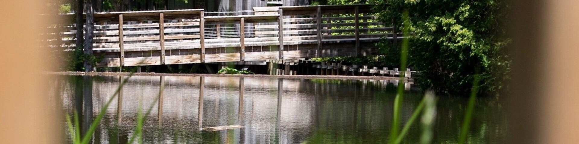 Informative and fun for all ages. Watch sawmill demonstrations. Rock climbing, zip line, and hiking. Pack the bug spray.