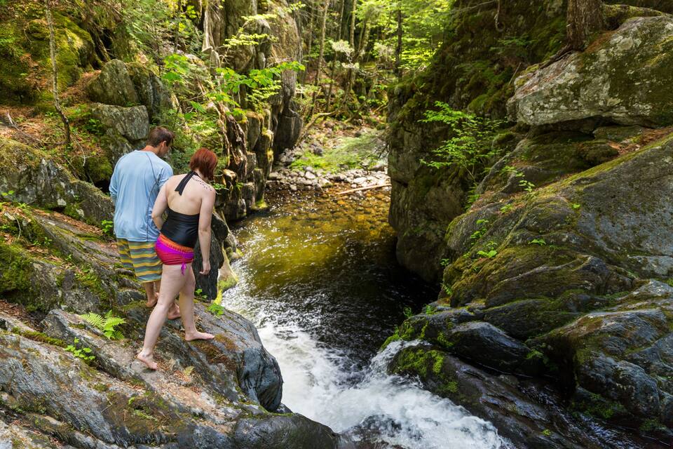A couple standing on a rocky riverbank in a forested area.