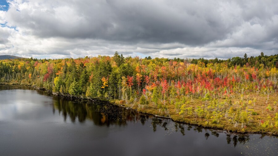 Autumn colors on Prong Pond - in the Moosehead Lake - Grenville area of Maine