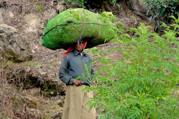 Munnar sowie einzelner Mann