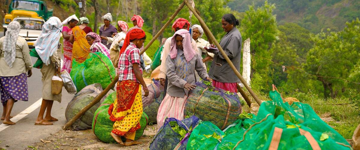 Personas cargando grandes bolsas de productos agrícolas en una carretera, con un paisaje montañoso al fondo.