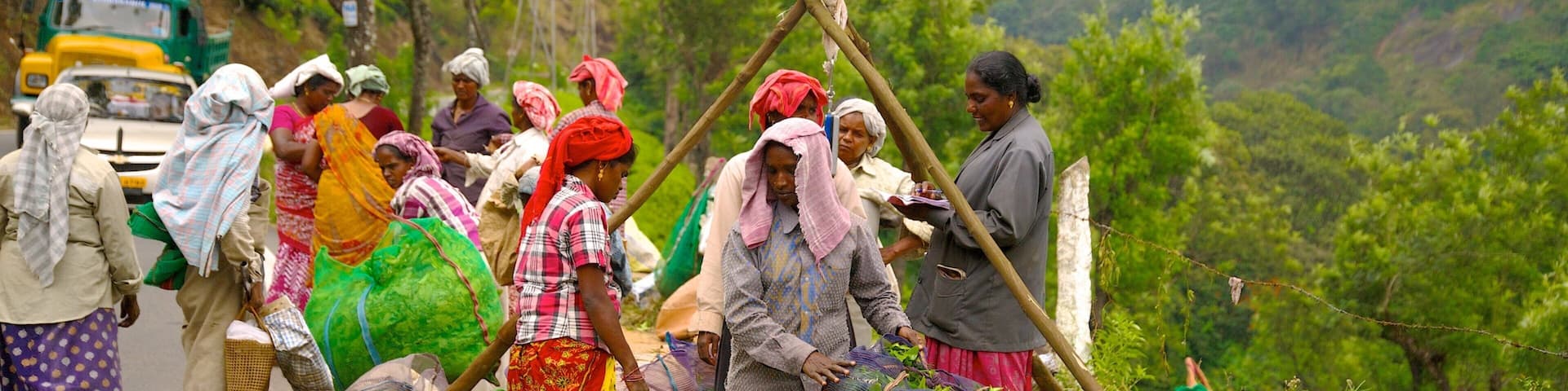 Munnar showing tranquil scenes as well as a small group of people