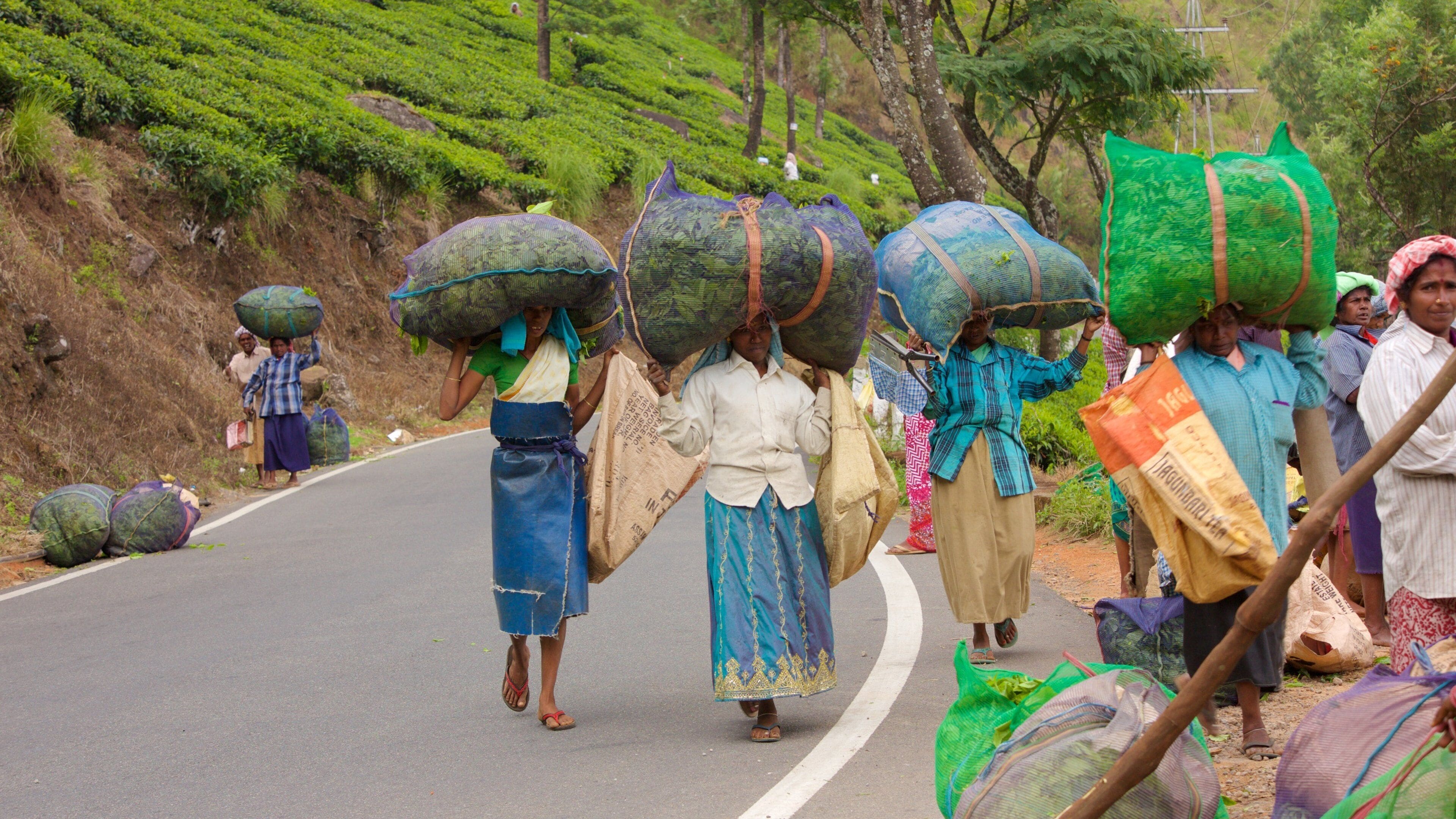 Munnar sowie kleine Menschengruppe