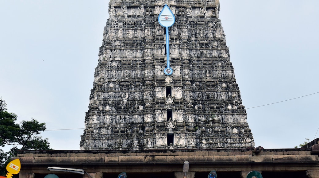 Thiruchendur Murugan Tempel