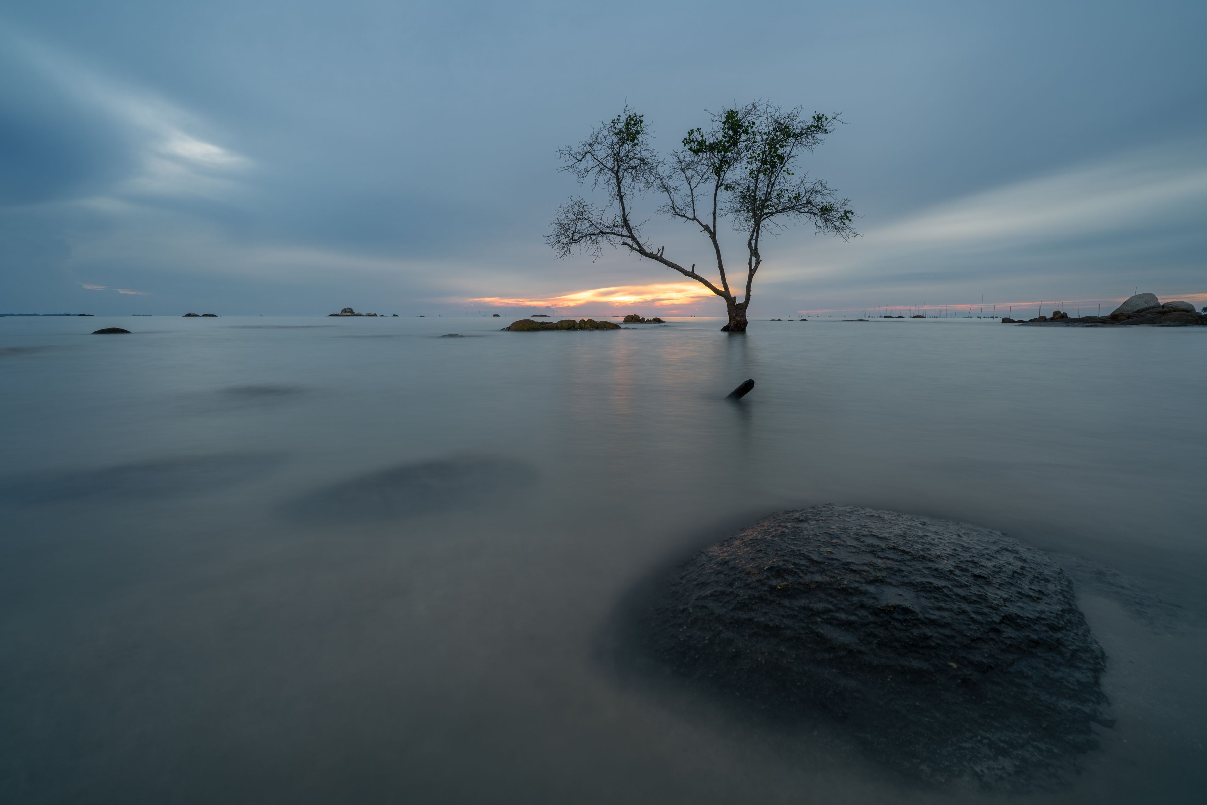 Serene long exposure of a solitary tree and smooth coastal waters at sunrise, Pantai Tapak Dewa Beach, Bangka Island, Indonesia