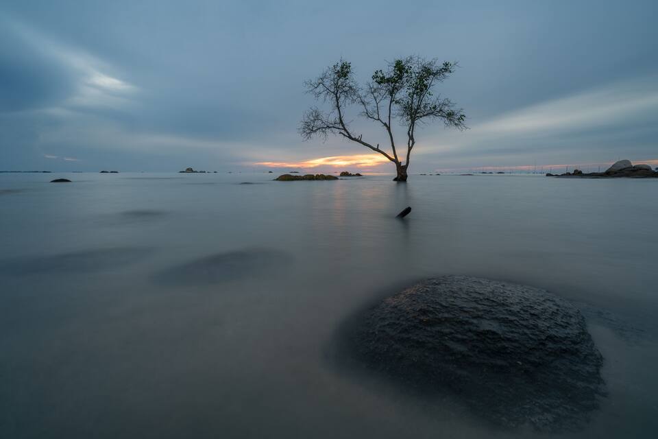 Serene long exposure of a solitary tree and smooth coastal waters at sunrise, Pantai Tapak Dewa Beach, Bangka Island, Indonesia