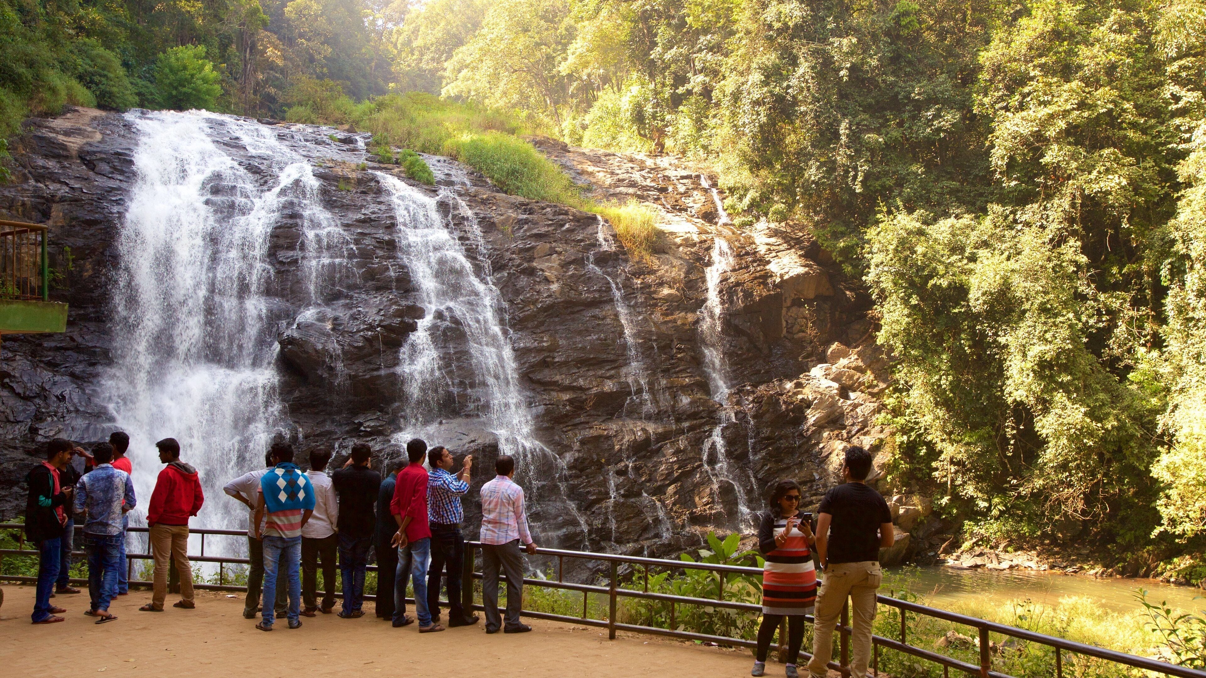Coorg which includes a cascade as well as a small group of people