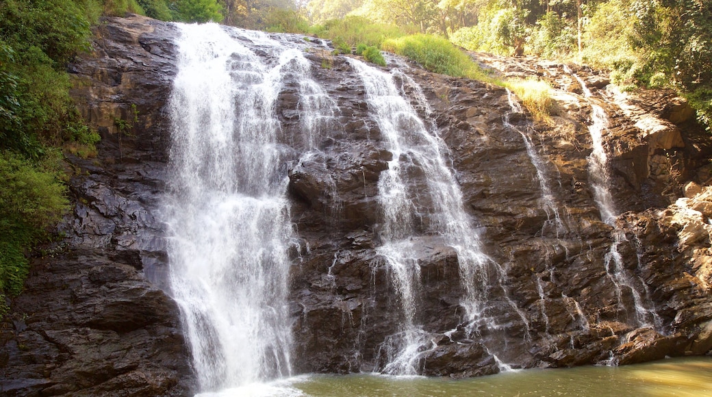 Coorg featuring a lake or waterhole and a cascade