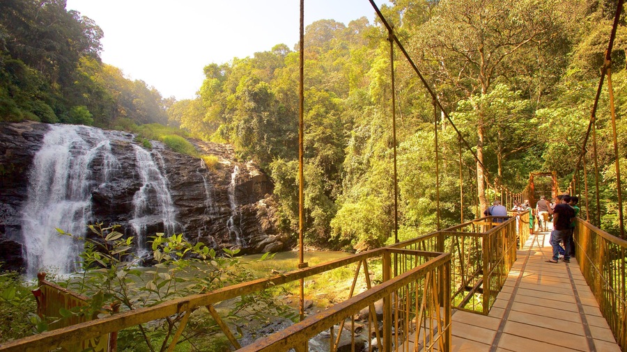 Un puente colgante de madera sobre un cascada en un bosque.