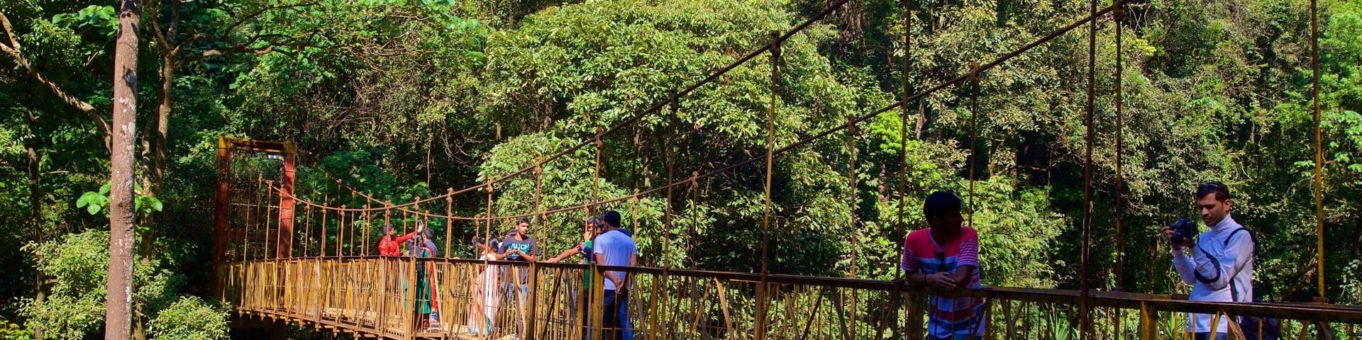 Madikeri mostrando selva y un puente colgante o una pasarela y también un pequeño grupo de personas