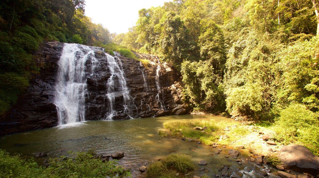 Madikeri featuring a pond, a lake or waterhole and a waterfall
