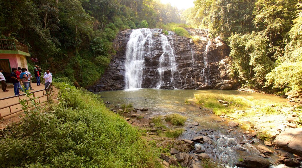 Madikeri featuring a cascade and a lake or waterhole