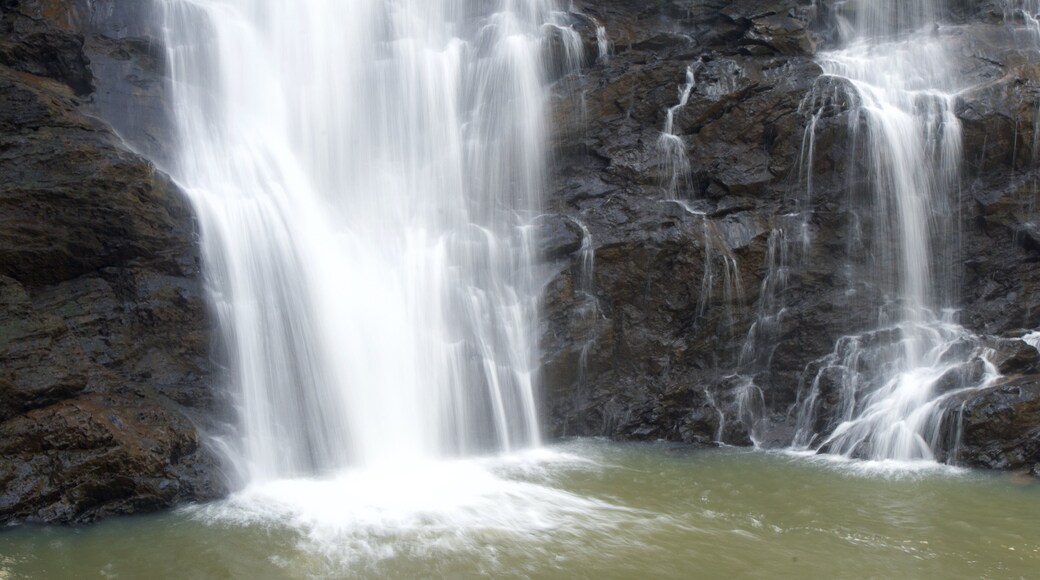 Madikeri showing a lake or waterhole and a cascade
