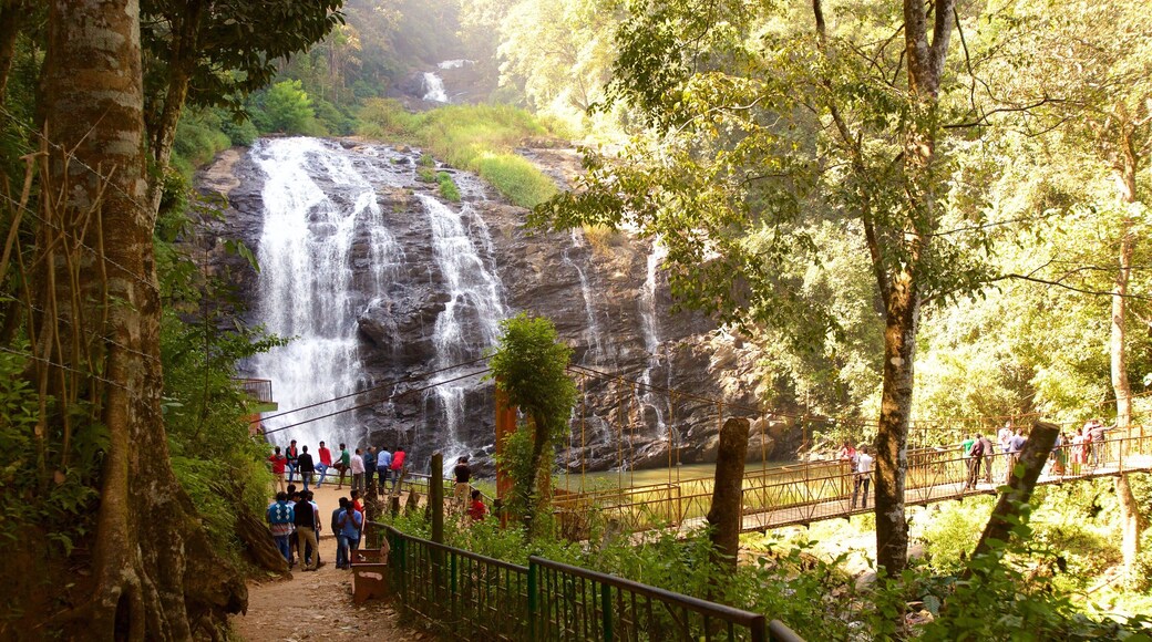 Madikeri which includes a cascade and a lake or waterhole as well as a large group of people