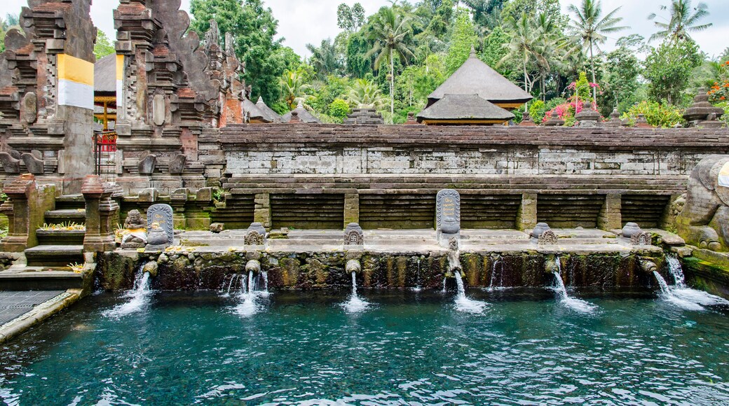 Pool with holy water in Tirta Empul temple (Bali, Indonesia)