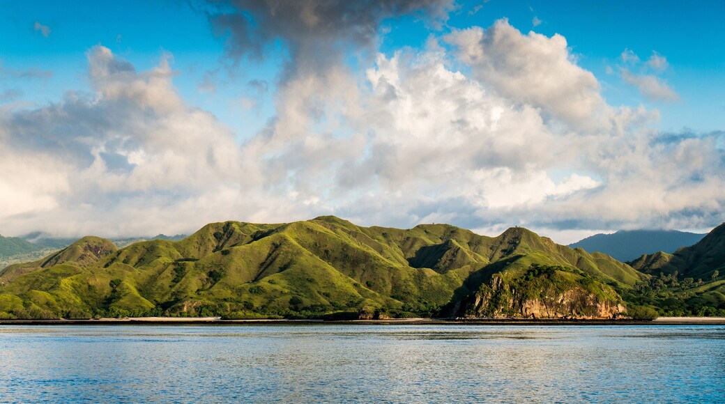Coastal landscape of island Komodo National Park, UNESCO World Heritage Site, Indonesia, Southeast Asia