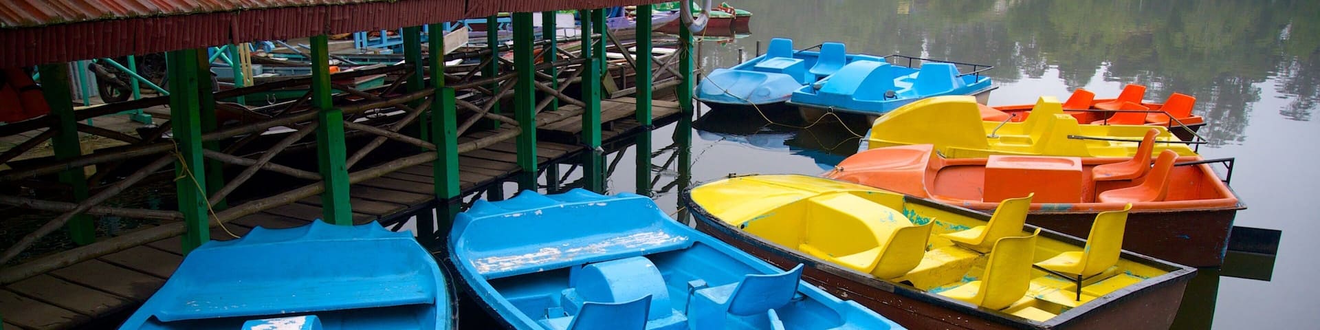 Kodaikanal showing a lake or waterhole