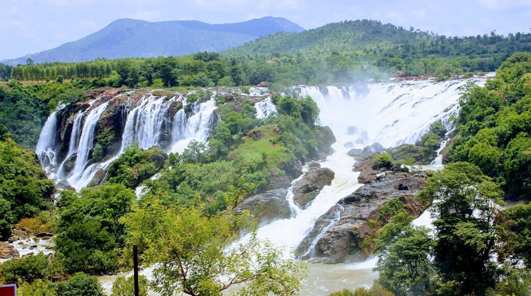 #LifeAtExpedia #ExpediaCares
Sometimes called as India's very own Niagara Falls. This horse shoe shaped Waterfalls, take away your breath...