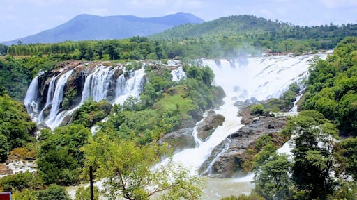 #LifeAtExpedia #ExpediaCares
Sometimes called as India's very own Niagara Falls. This horse shoe shaped Waterfalls, take away your breath...