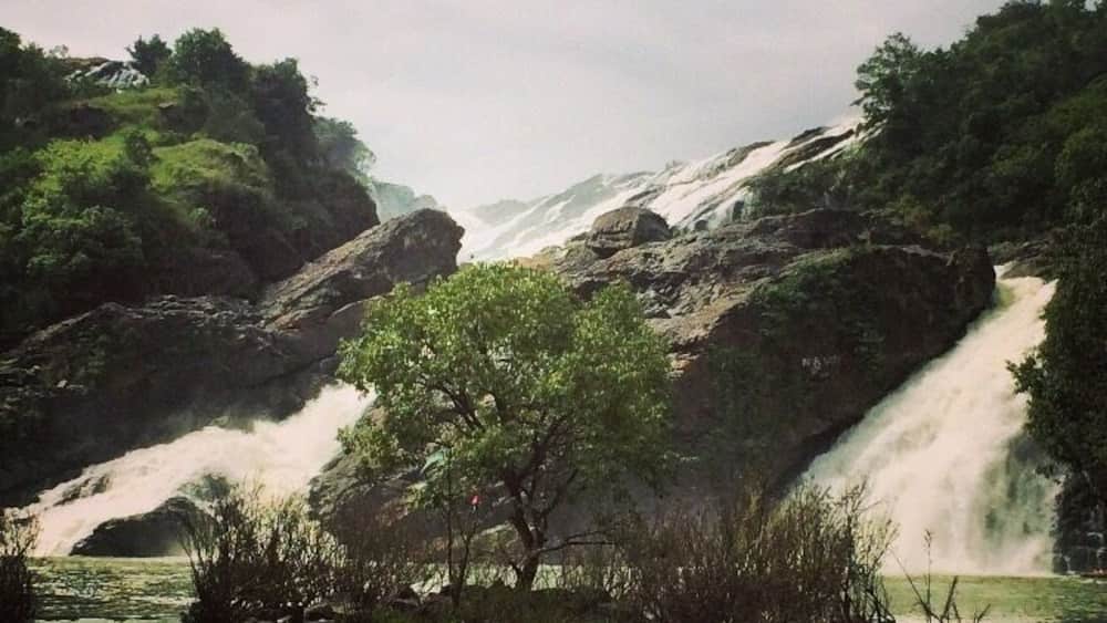 Une cascade se déversant sur un terrain rocheux, entourée d’une végétation luxuriante, avec une étendue d’eau au premier plan.
