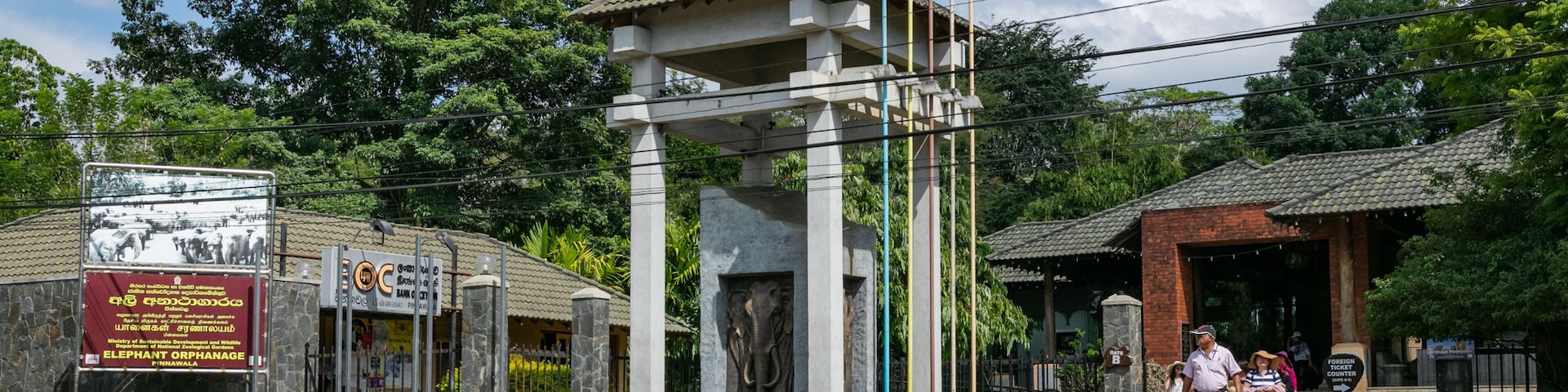 Pinnawela Elephant Orphanage