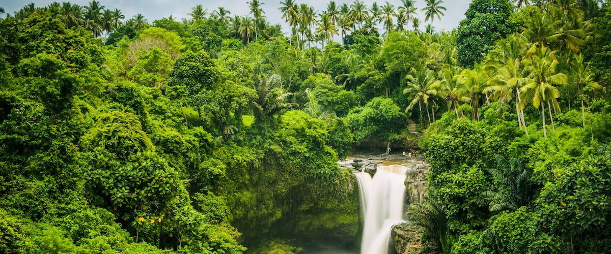 A lush green forest with a waterfall and a small group of people at the base.