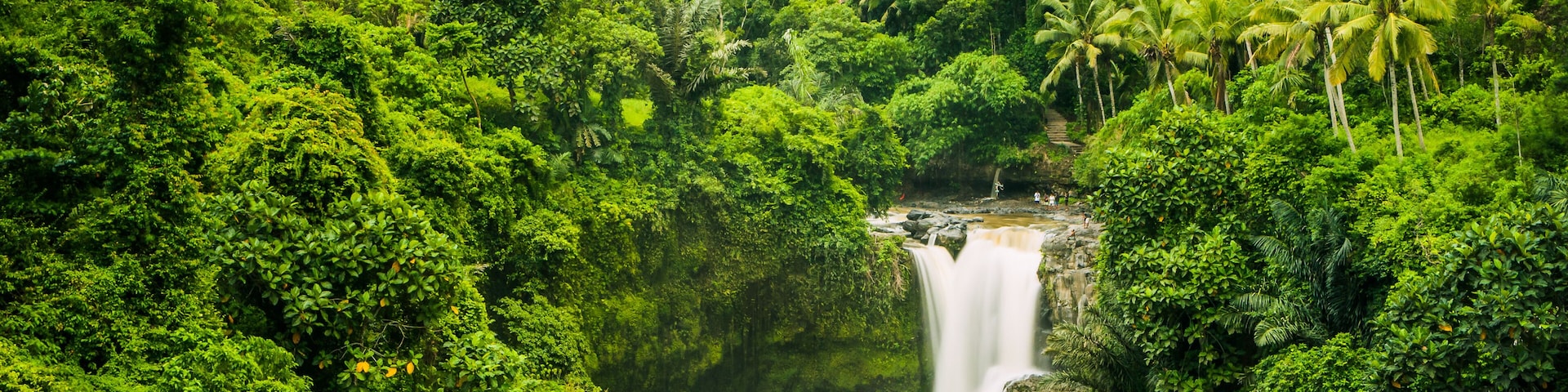 A lush green forest with a waterfall and a small group of people at the base.