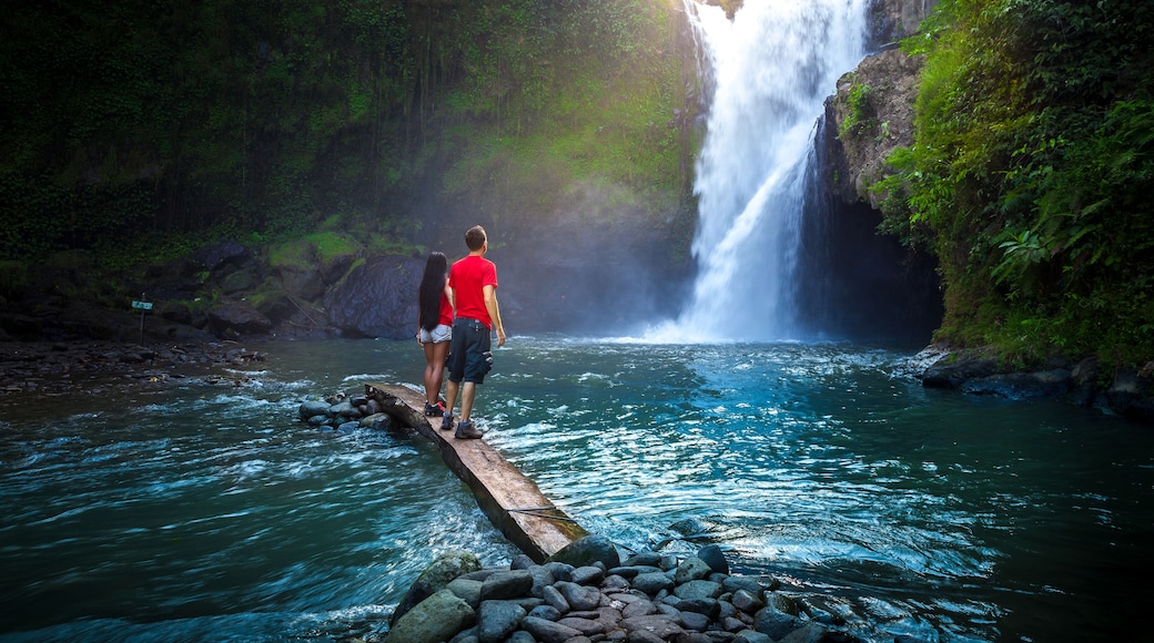 Waterfall Tegenungan hidden in the tropical jungle island Bali, Indonesia, Shutterstock ID 460505437, Purchase Order: -