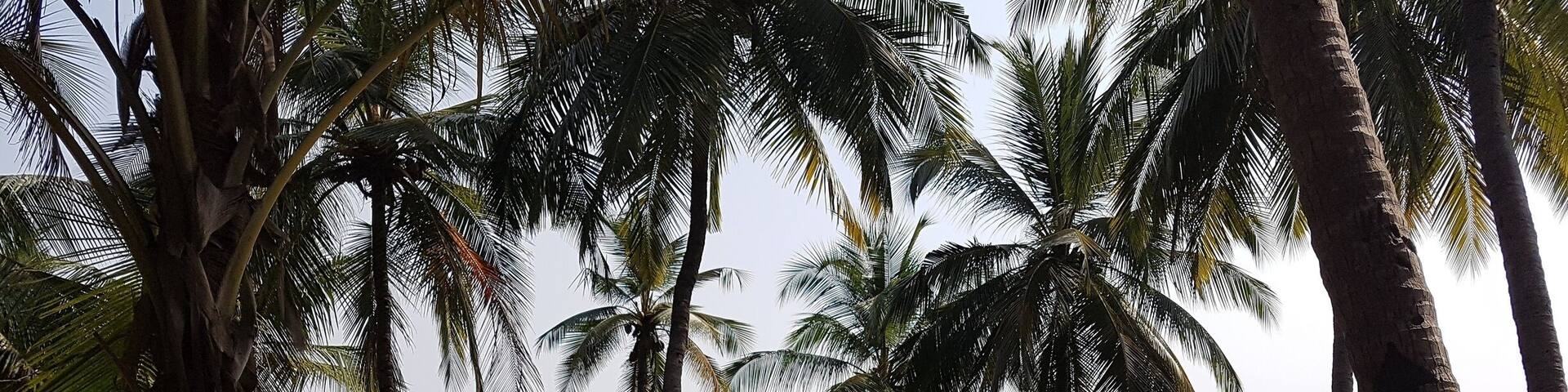 Cabo De Rama fort is amongst the roads less travelled in Goa, India. The fort houses a small church, frequented by the locals. Not only was the destination beautiful but so was the journey. Been here twice and can't wait to go again... 💕 #Green
