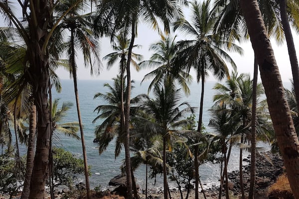 Cabo De Rama fort is amongst the roads less travelled in Goa, India. The fort houses a small church, frequented by the locals. Not only was the destination beautiful but so was the journey. Been here twice and can't wait to go again... 💕 #Green