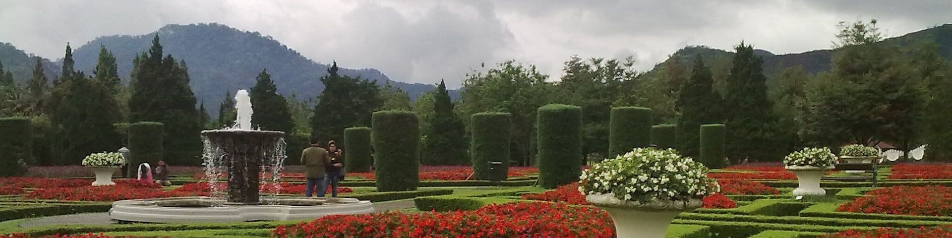 please help me to this effort