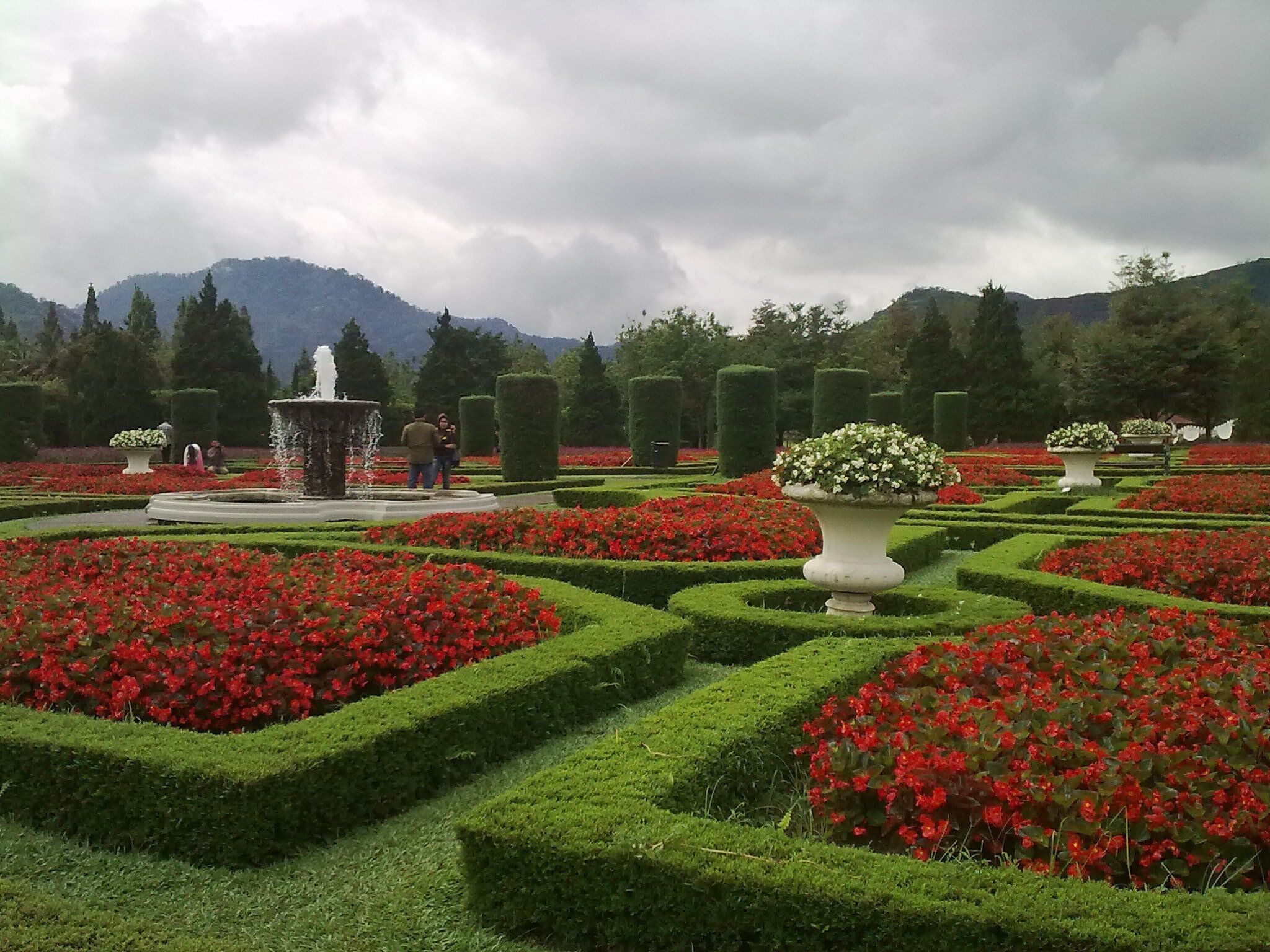 A formal garden with geometric hedges, red flowers, and a central fountain.