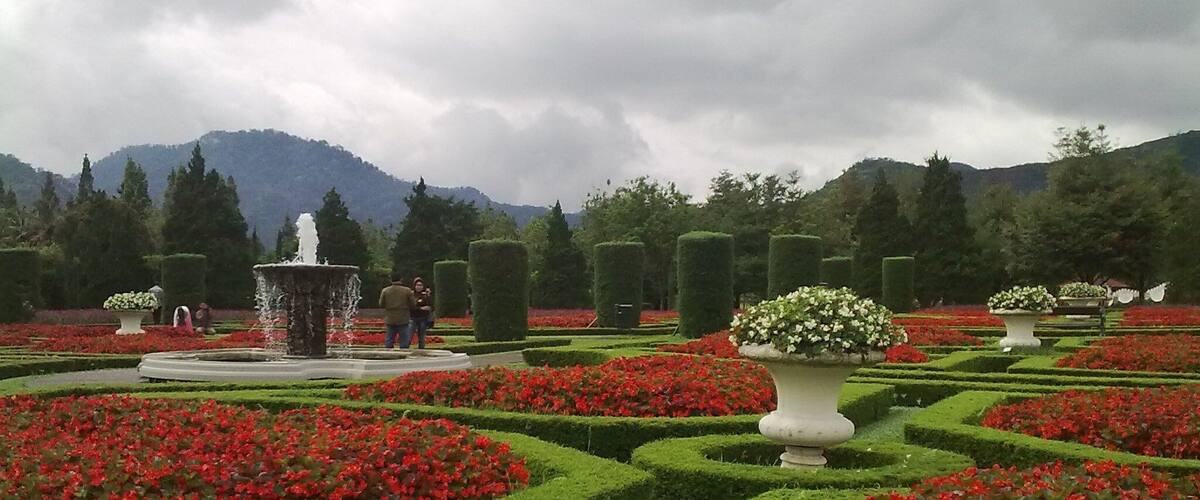 A formal garden with geometric hedges, red flowers, and a central fountain.